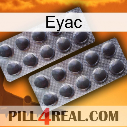 Eyac 31